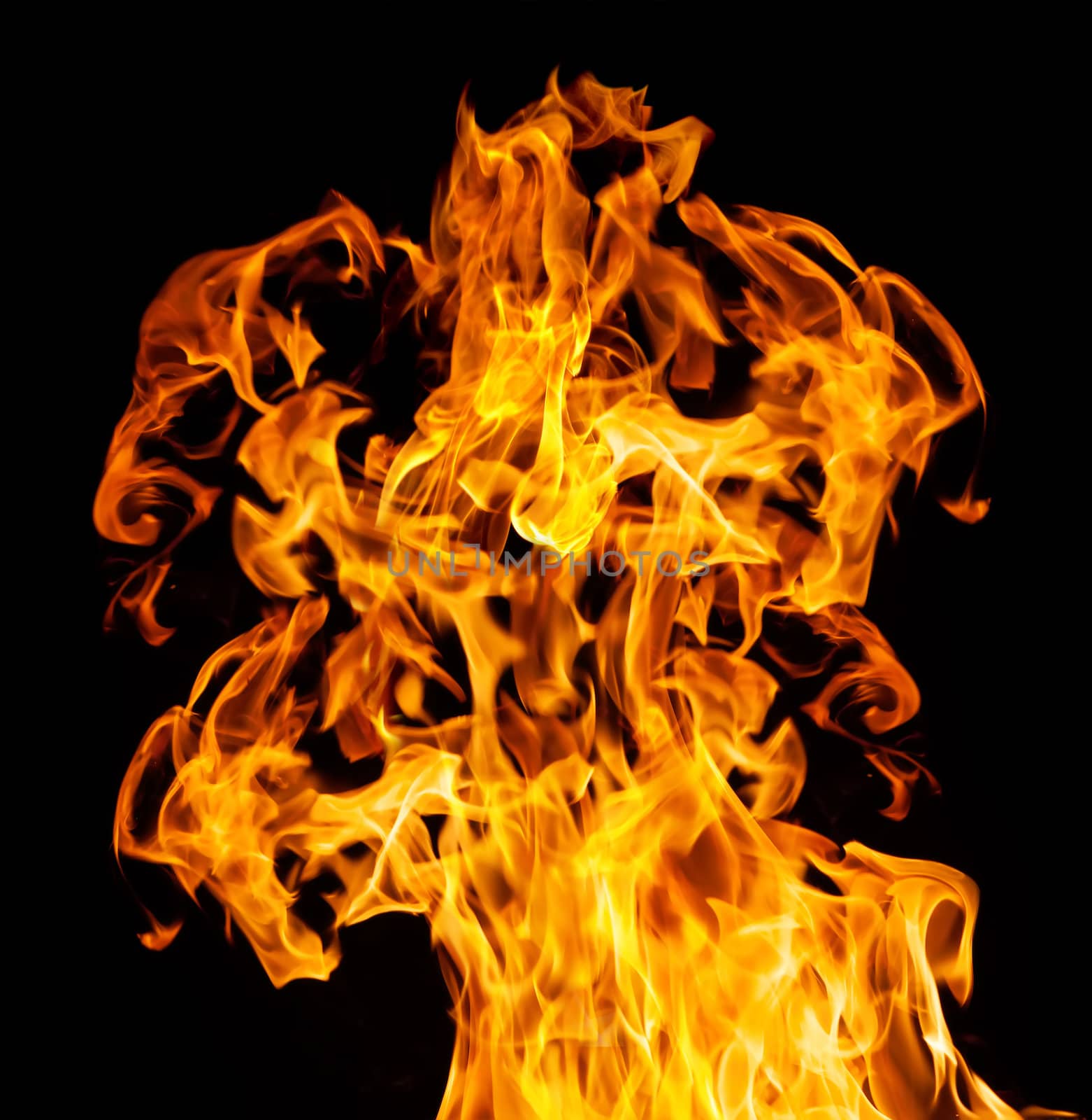 Orange fire flames on a black background