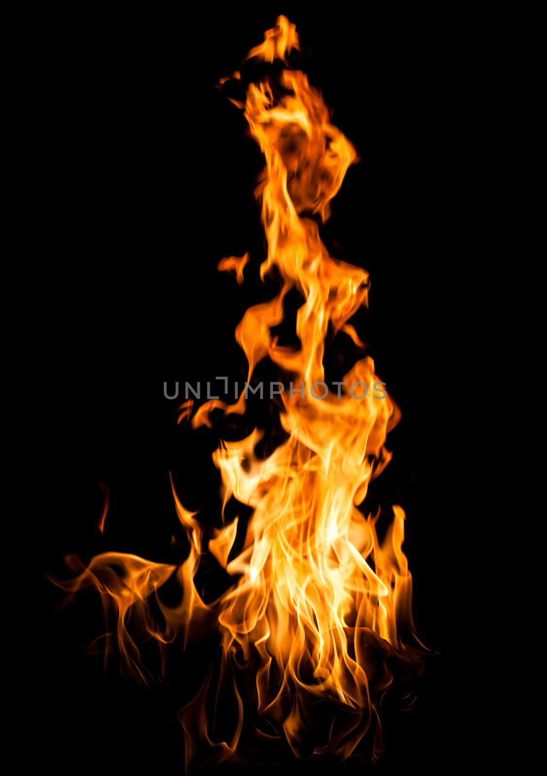 Fire flames on black background