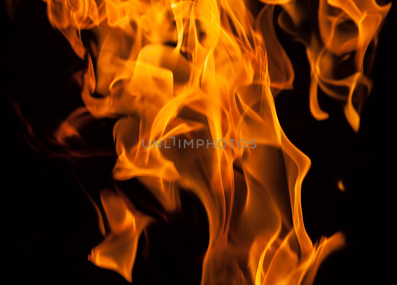 Orange fire flames on a black background
