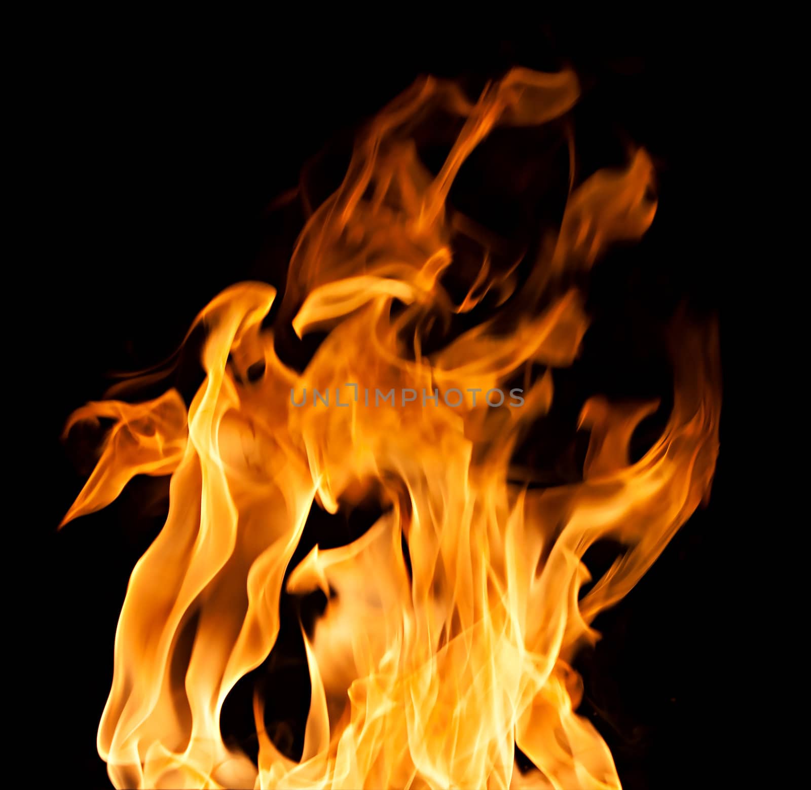 Orange fire flames on a black background