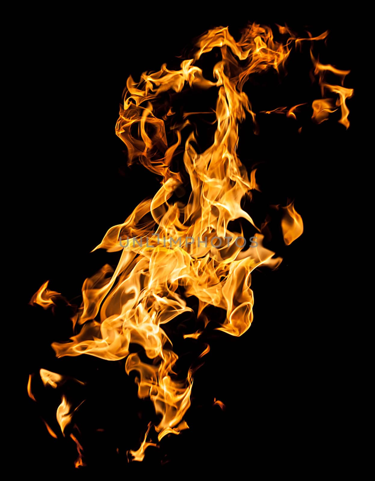 Orange fire flames on a black background