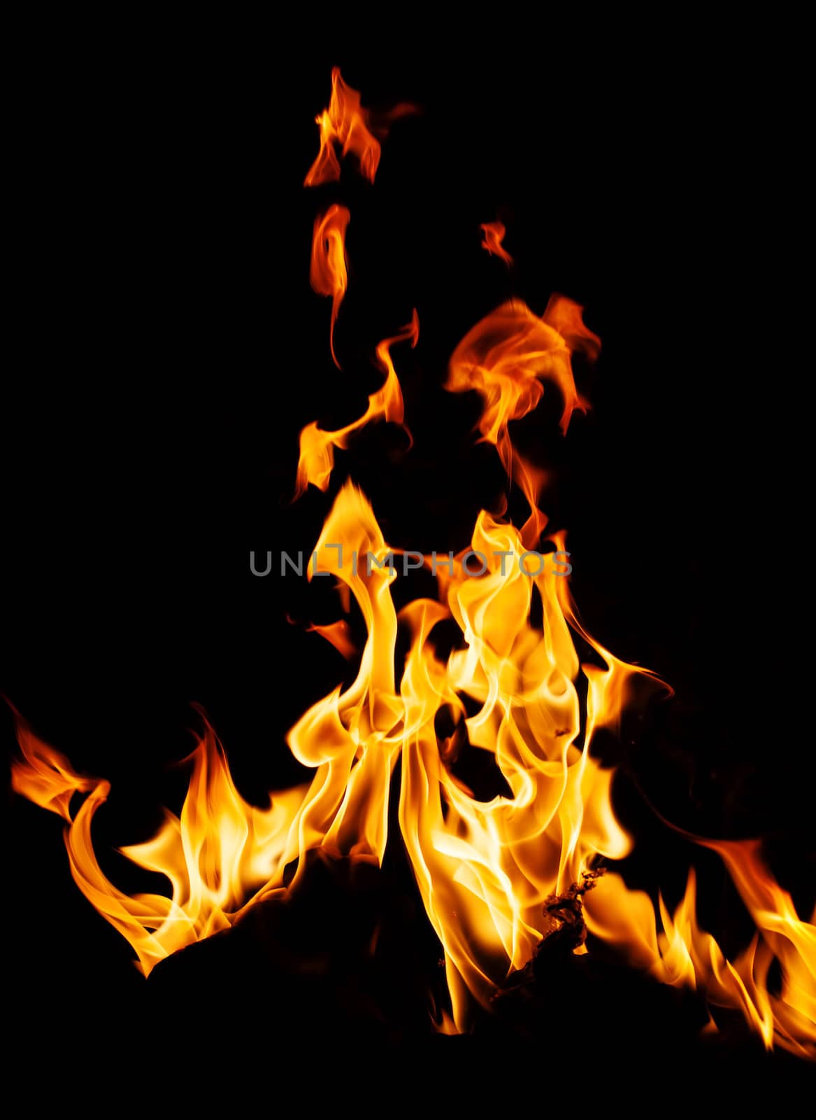 Fire flames on black background