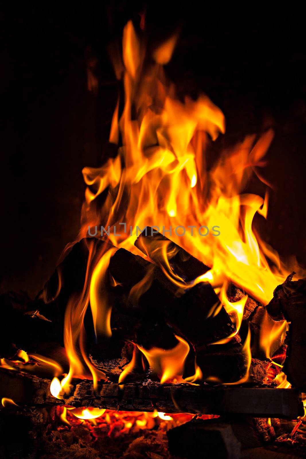 The fire in the furnace. Red flames on black background