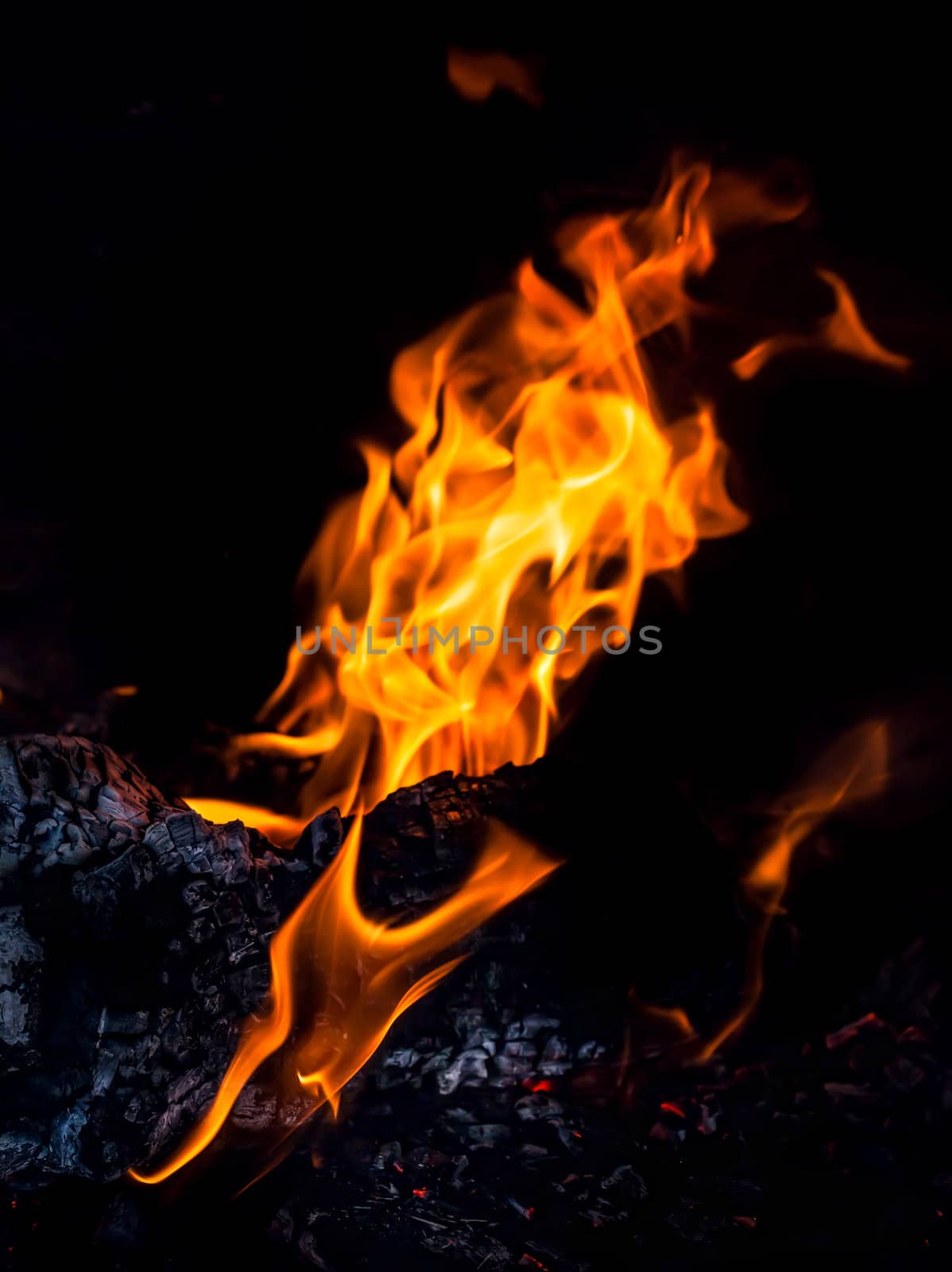 Fire flames by palinchak