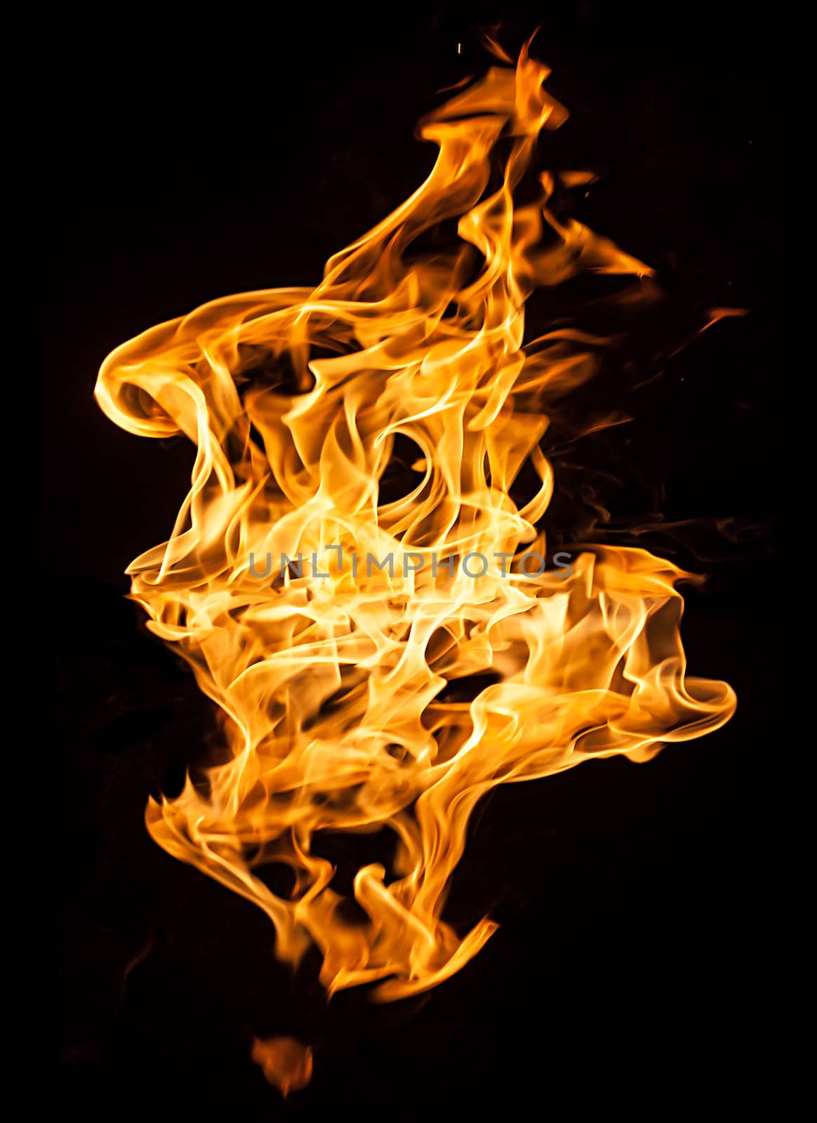 Orange fire flames on a black background