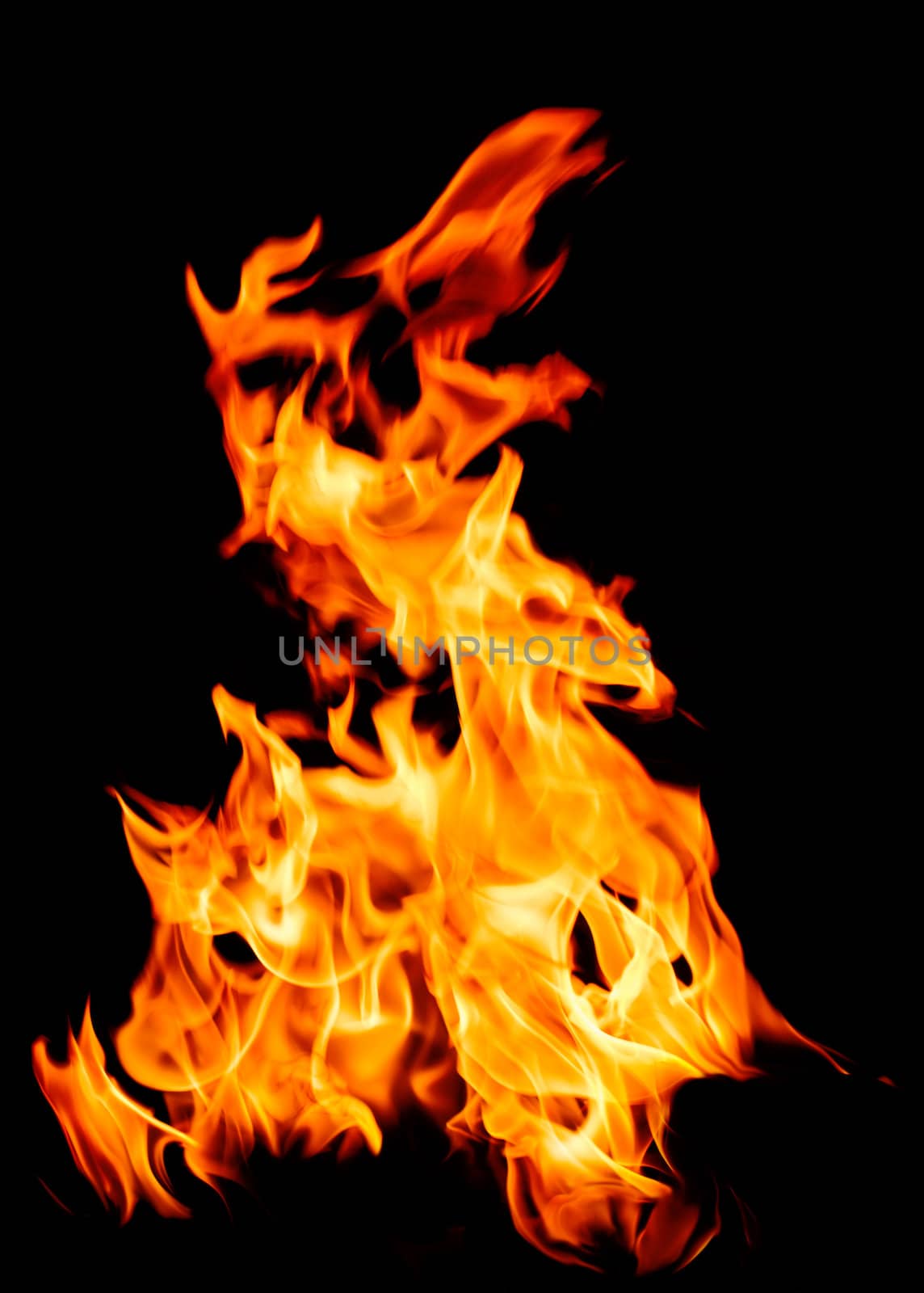 Fire flames on black background