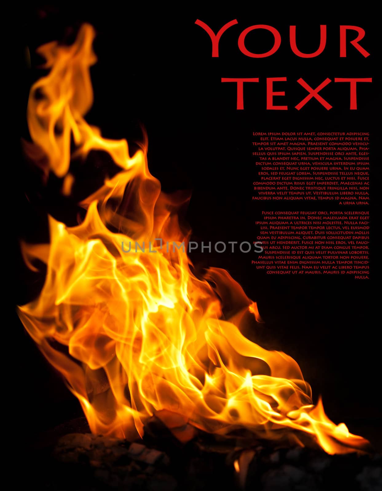 Tongues of flame, isolated on black with copy space for text