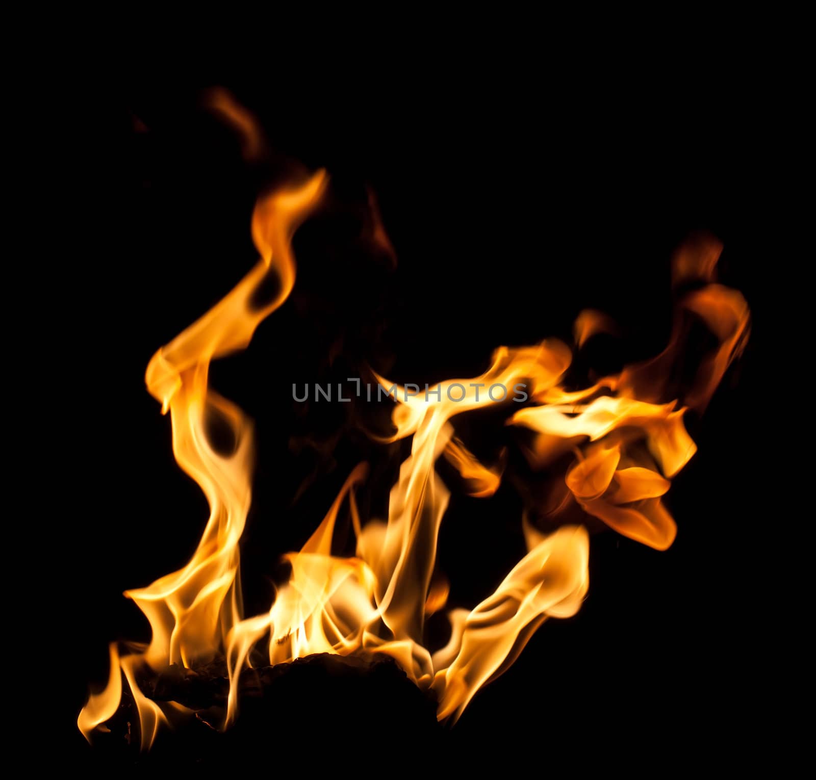 Fire flames on black background