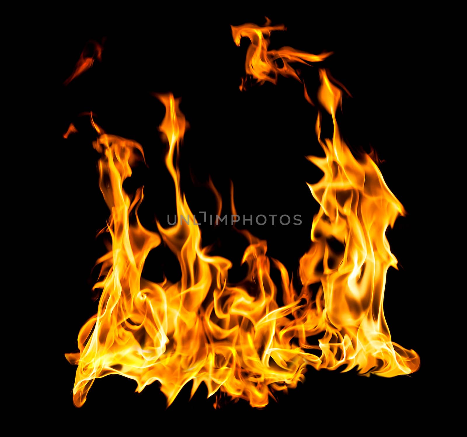 Orange fire flames on a black background