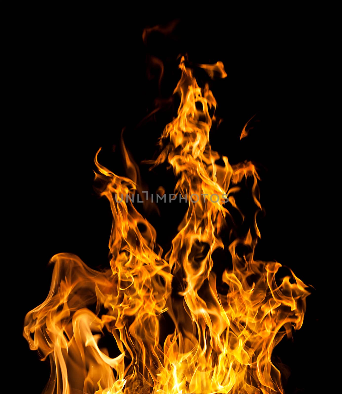 Orange fire flames on a black background