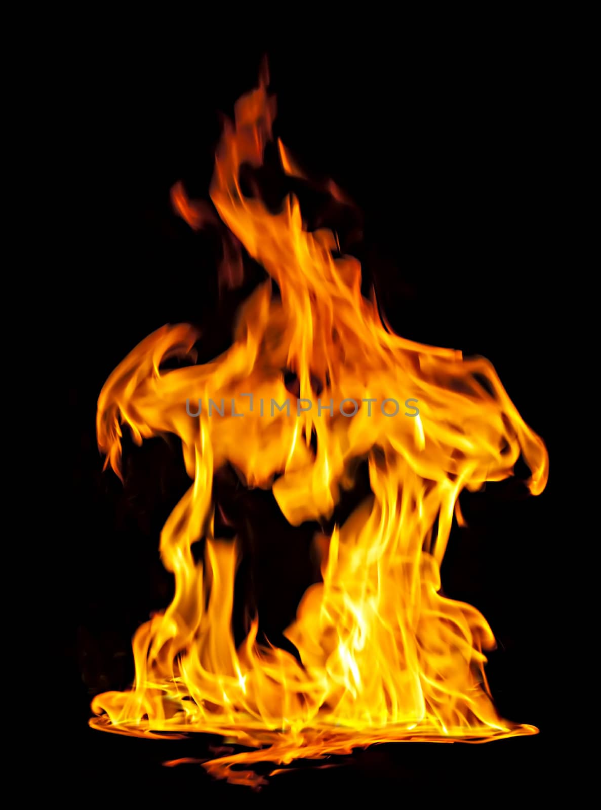 Orange fire flames on a black background