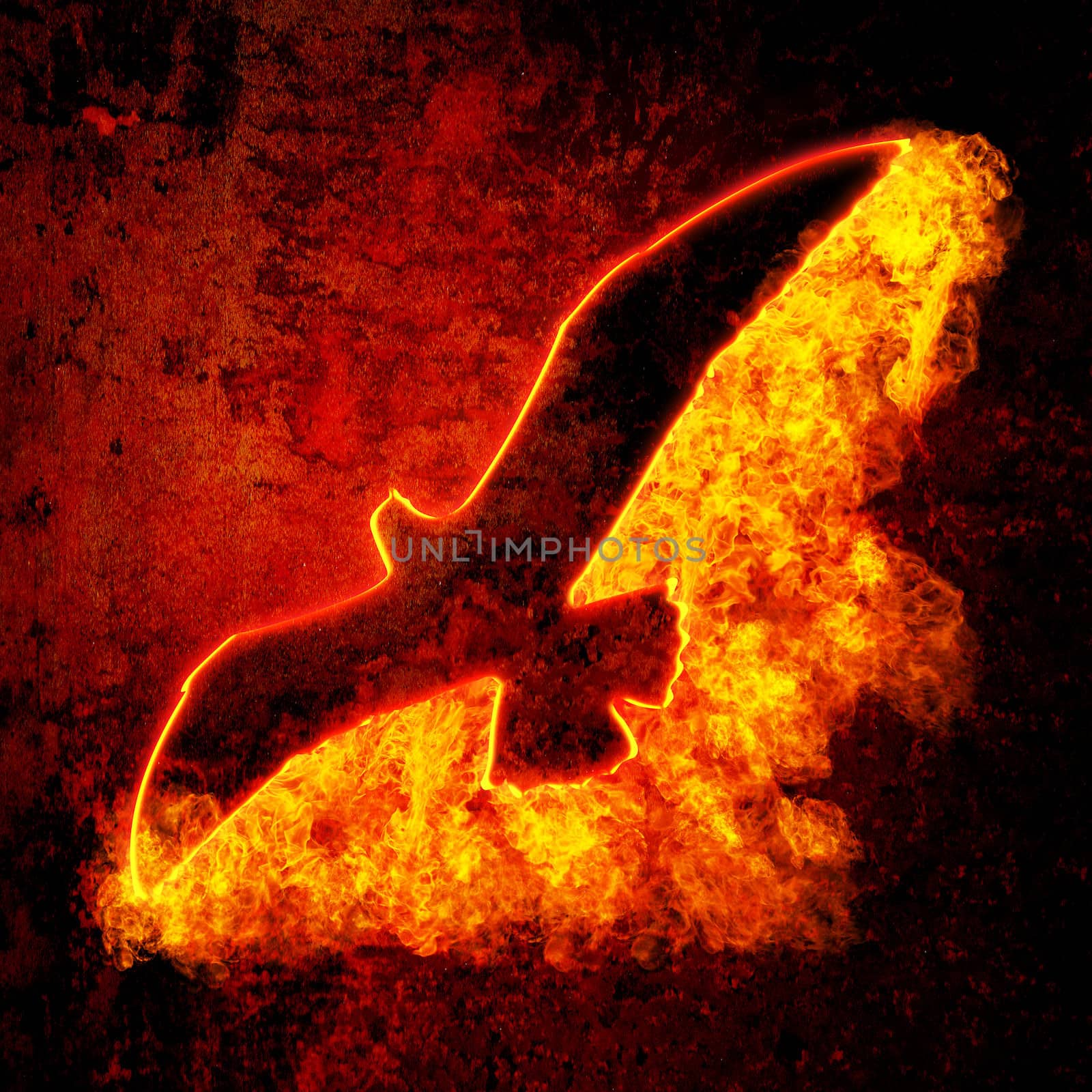 Burning bird silhouette on grunge background