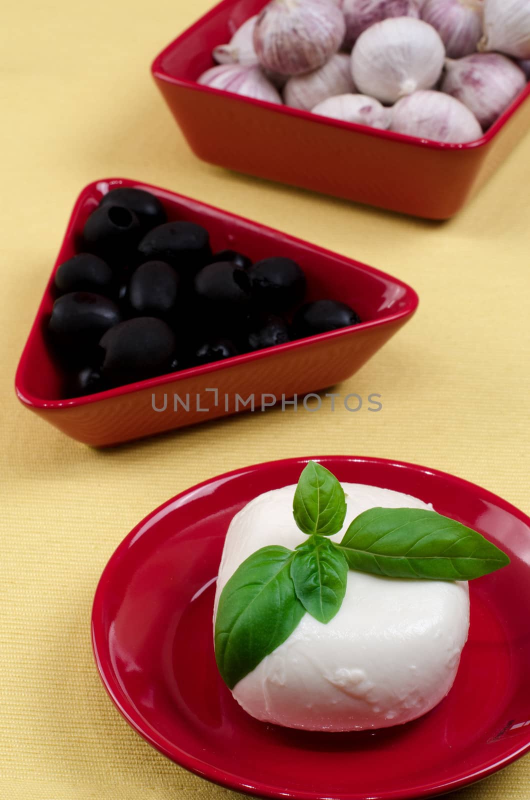 Italian mozzarella cheese with basil on a plate.