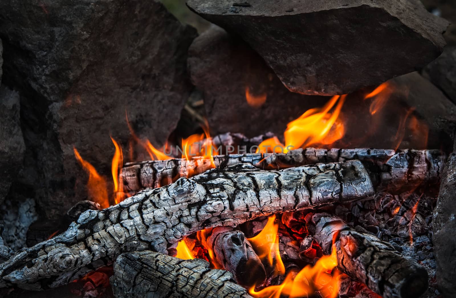 Bonfire. Closeup of hot burning wood, coals