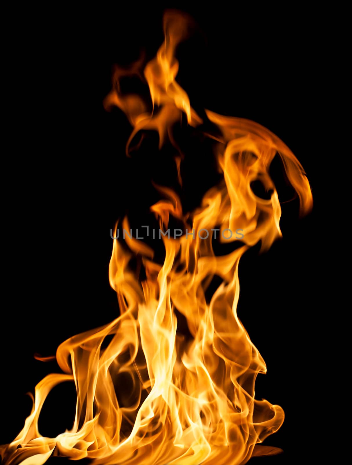 Orange fire flames on a black background