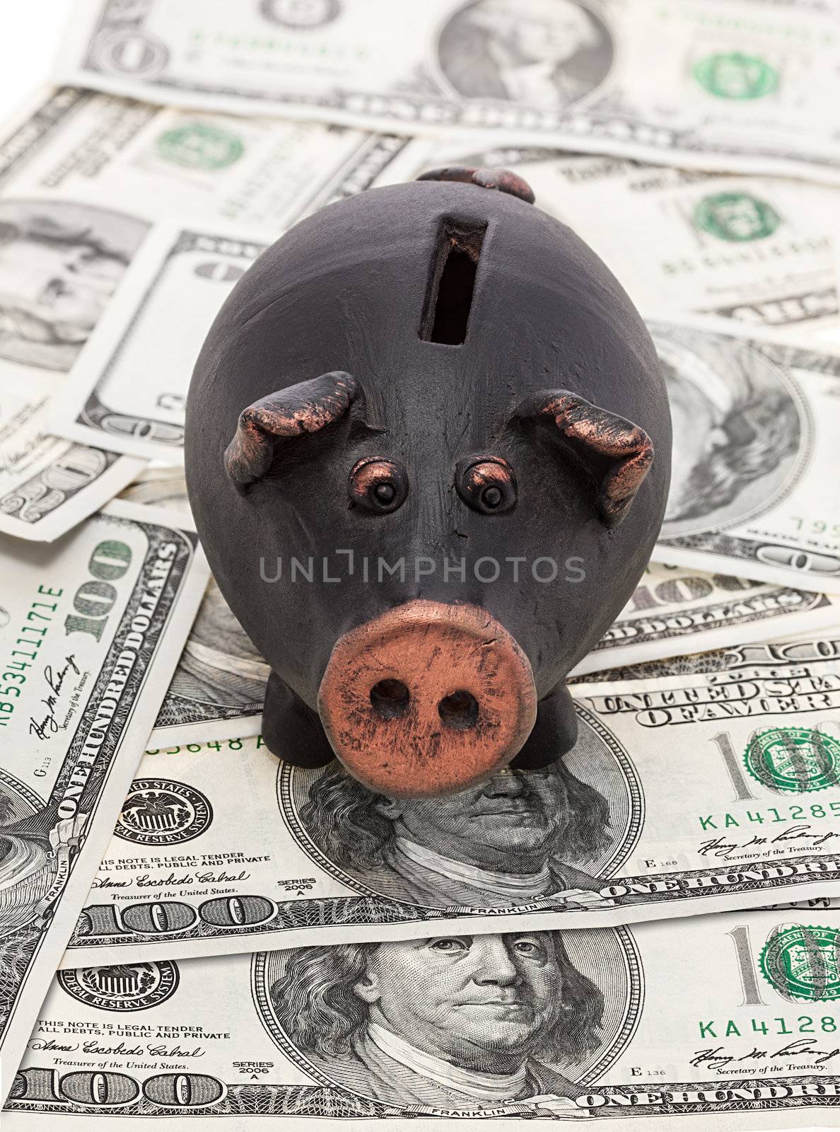 Money and piggy bank by palinchak