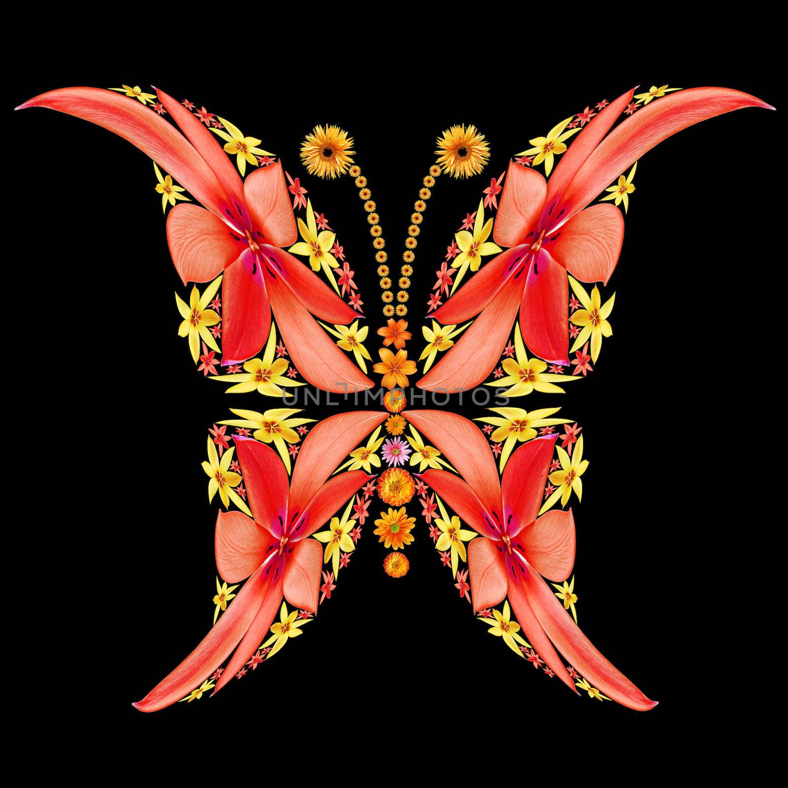 Flowers butterfly silhouette by palinchak