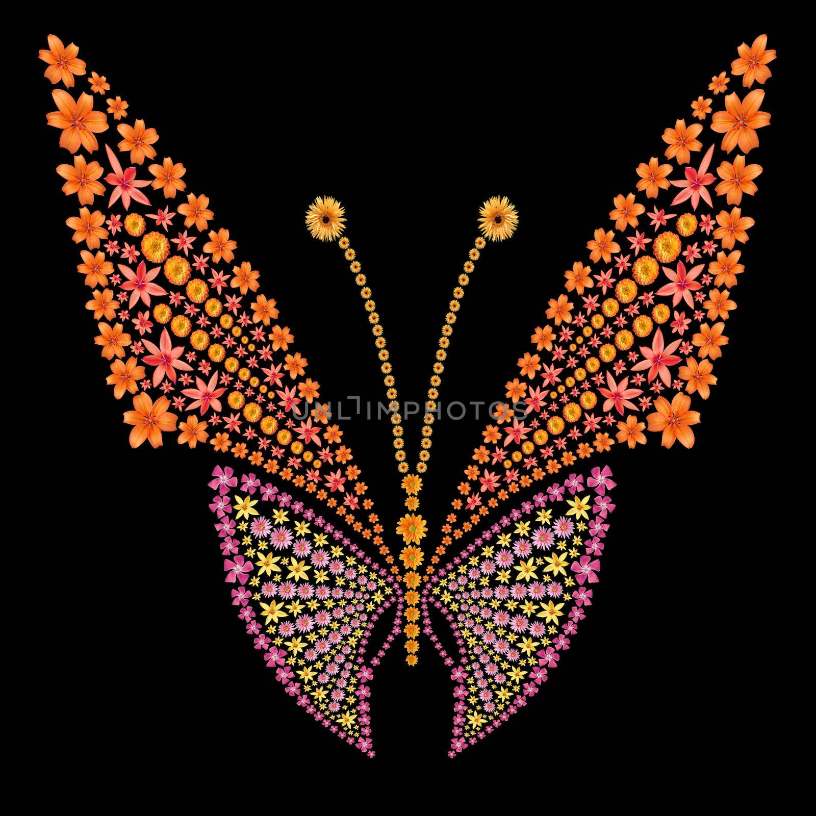 Flowers butterfly silhouette by palinchak