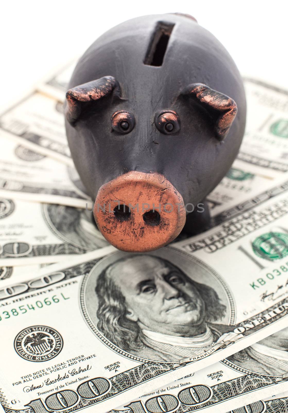 Money and piggy bank by palinchak