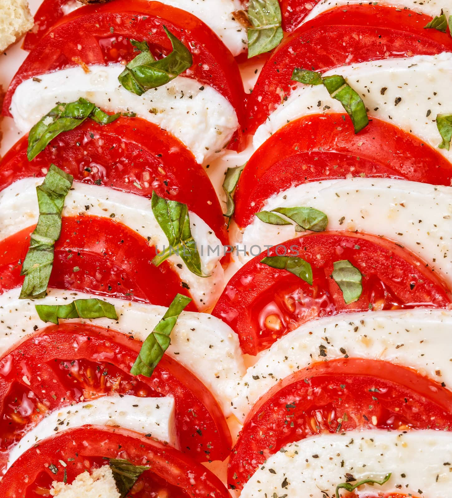 Tomato and mozzarella slices  with basil leaves