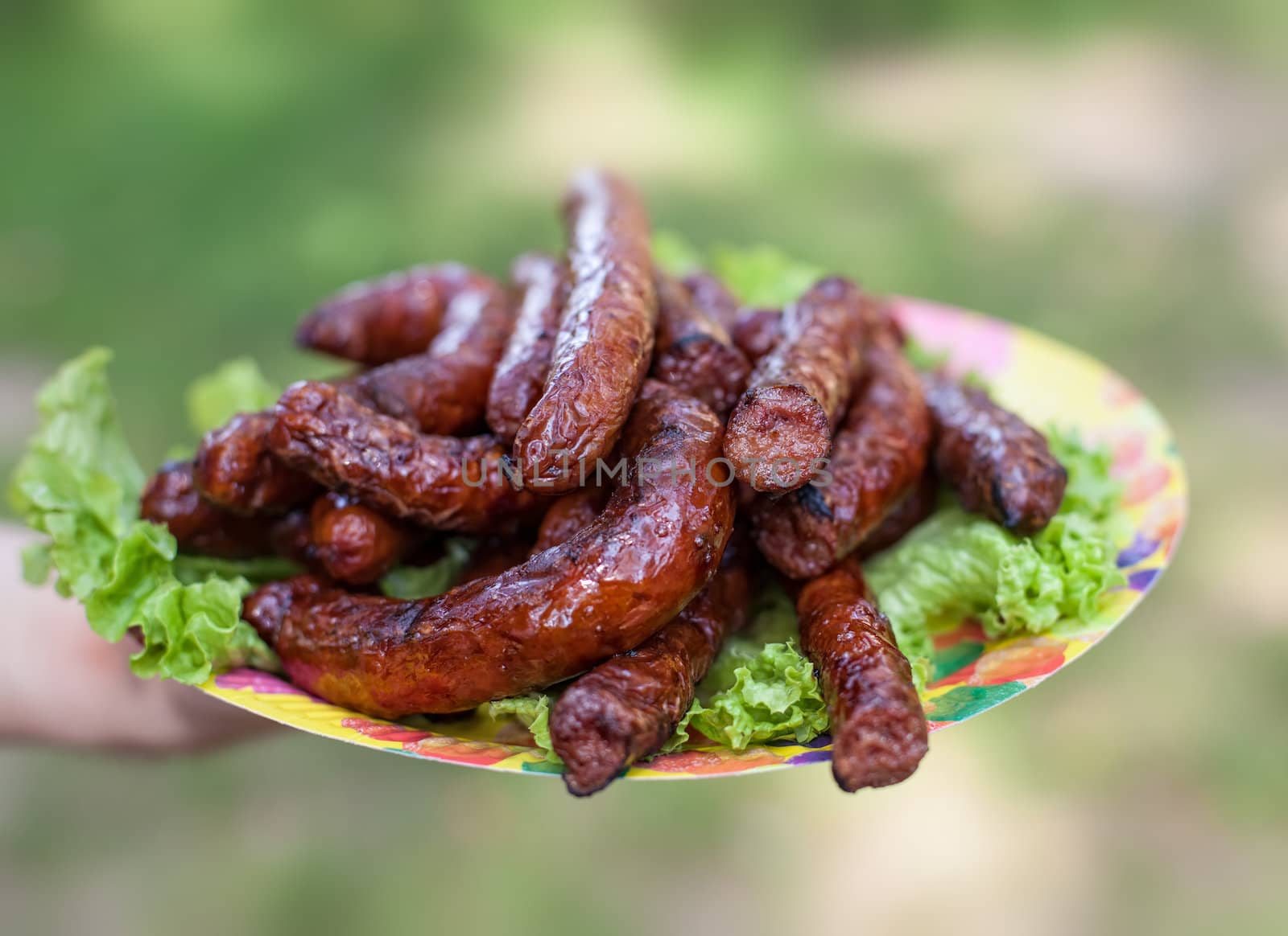 Grilled sausages on a plate with salad on a soft background