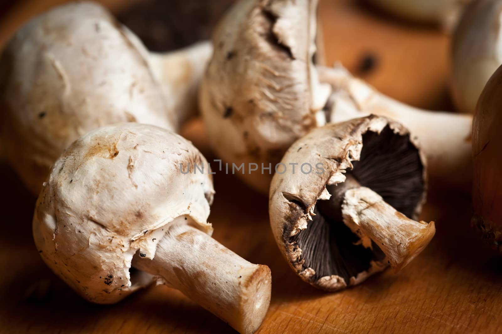 Still life with mushrooms by palinchak