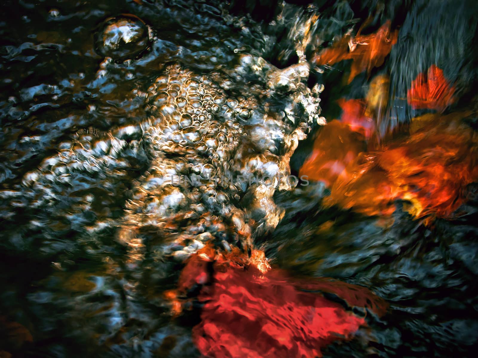 Abstract image of fresh water surface at close range