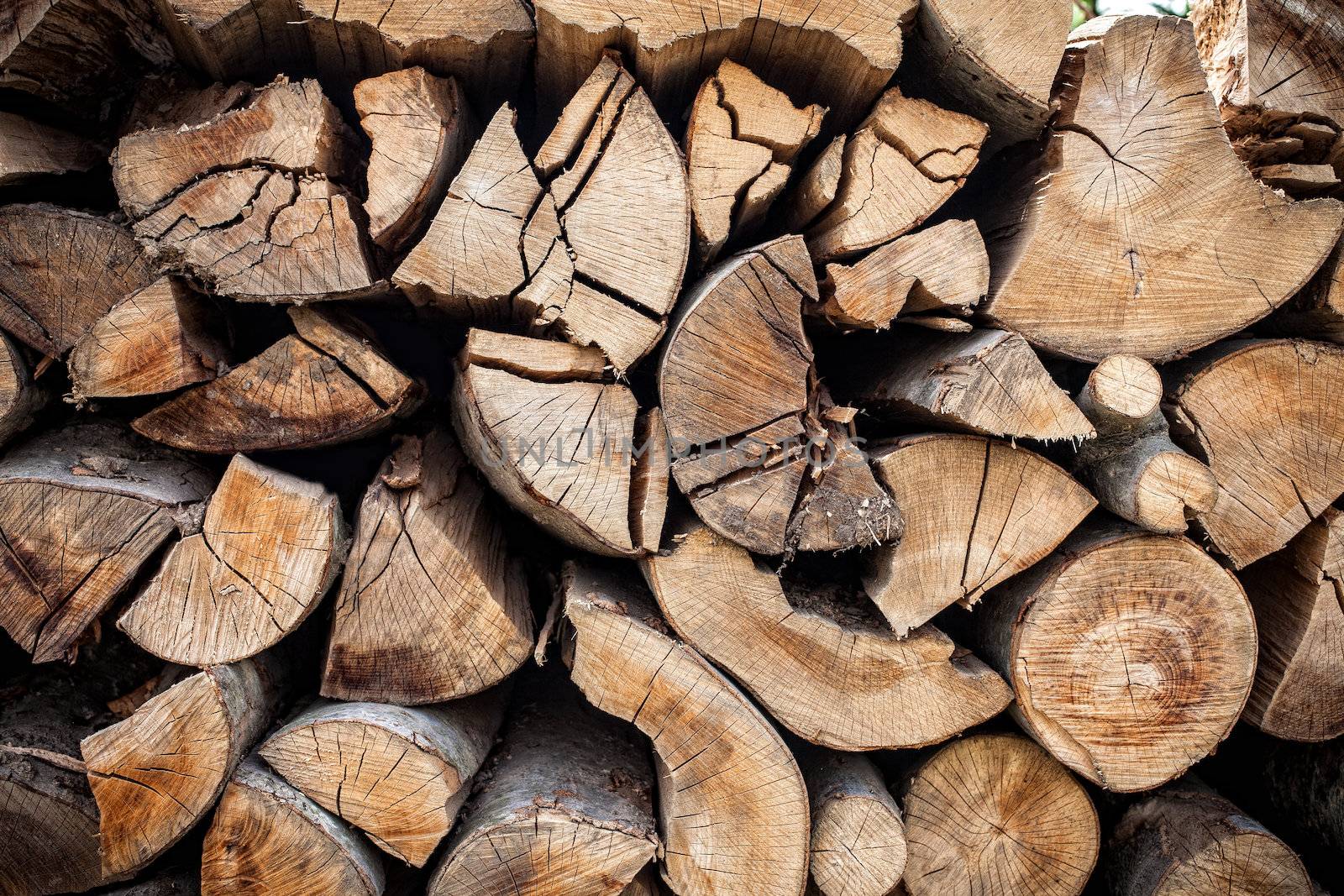 Dry chopped firewood logs ready for winter