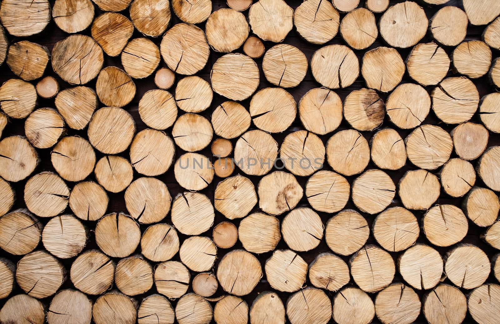 Pile of wood logs ready for winter