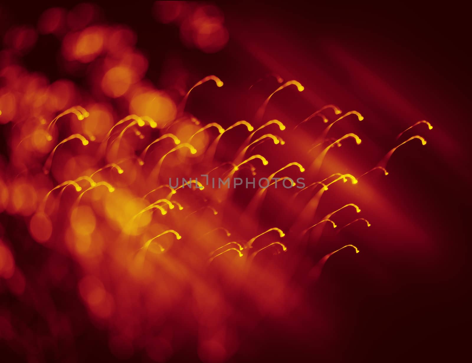 Bokeh. Abstract Christmas light background