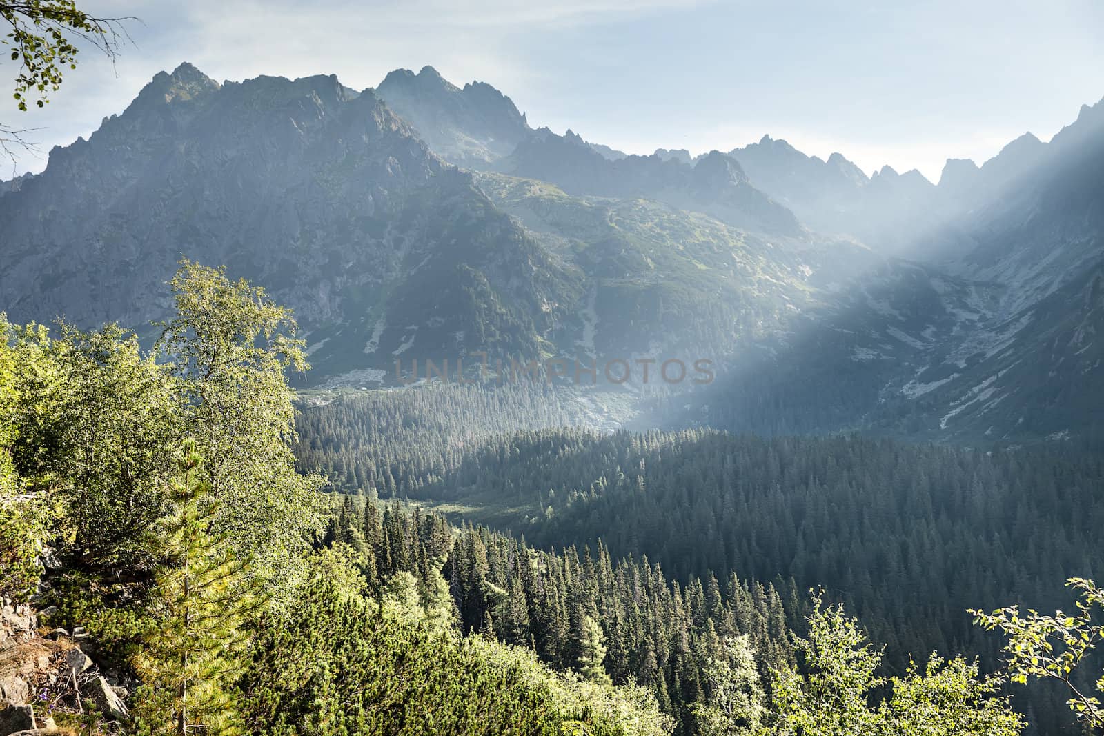 View of High Tatra Mountains in the morning mist from hiking trail. Slovakia. Europe.