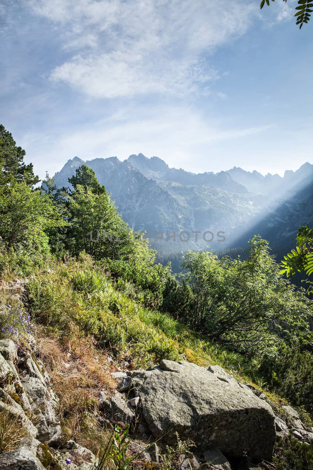 View of High Tatra Mountains from hiking trail. Slovakia. Europe.