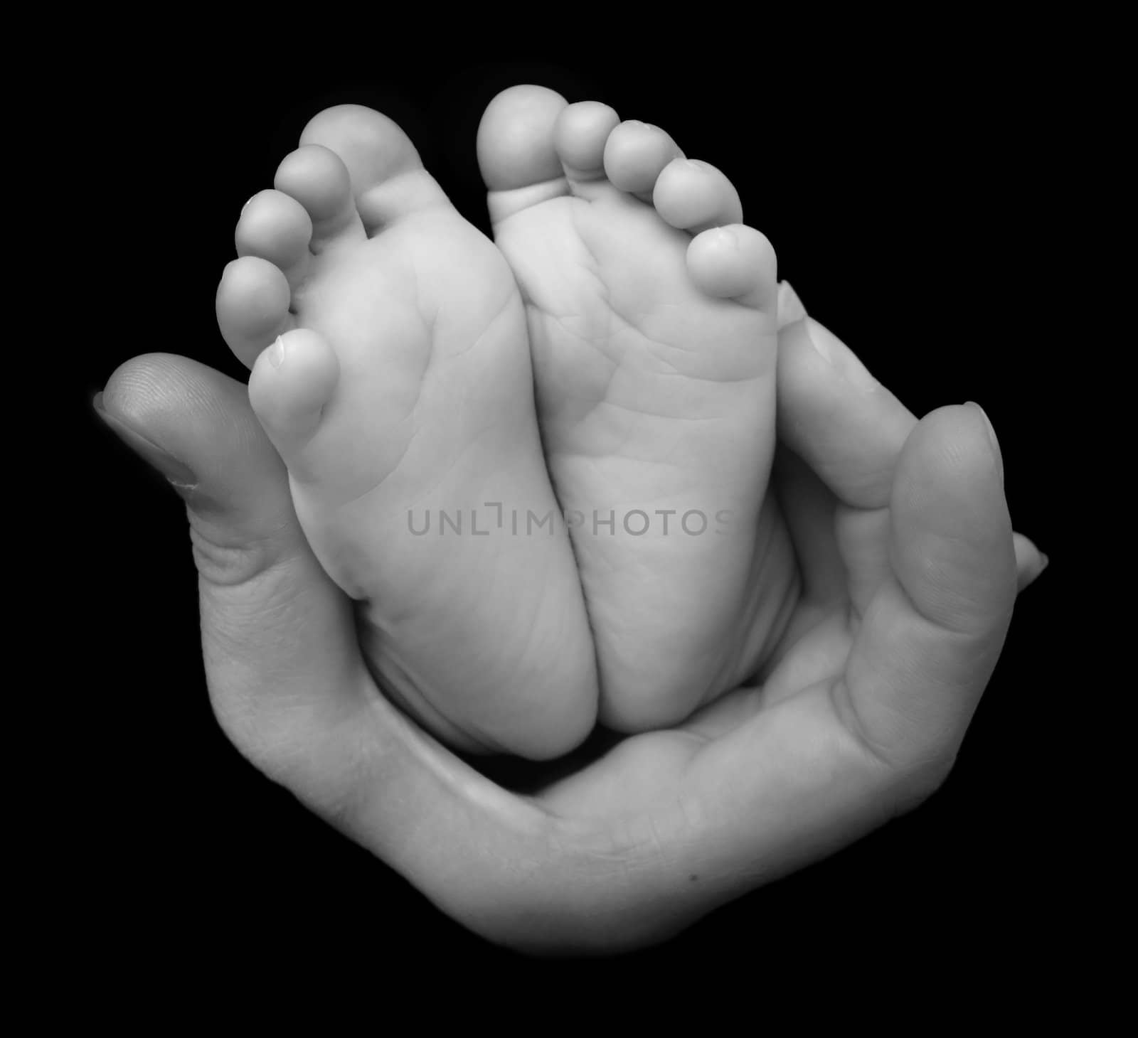 Tiny newborn baby feet in hand