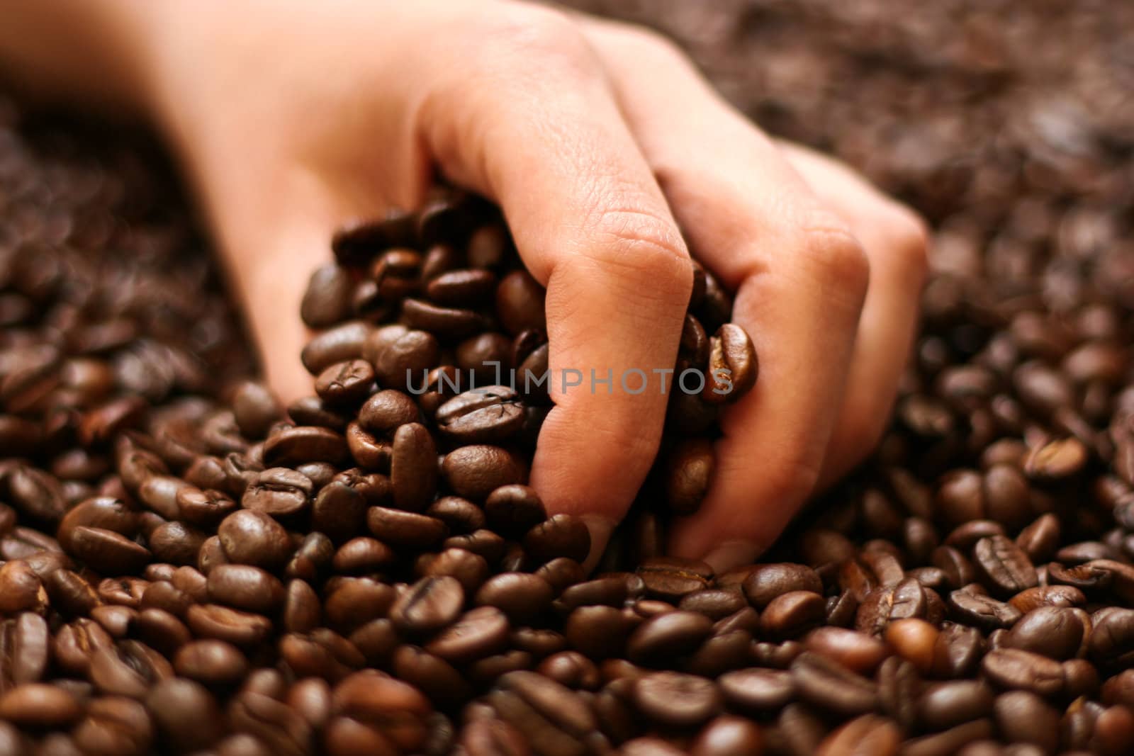 Hand holding coffee beans