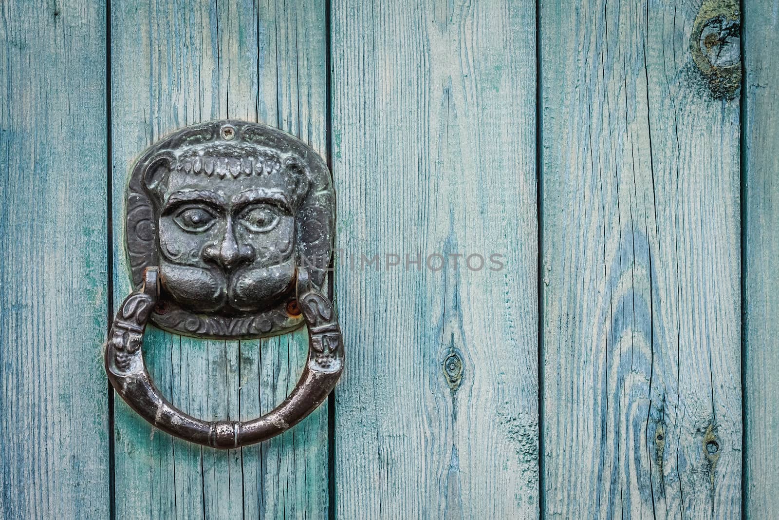 Decorative Gilded Lion Head Door Knob. Lion Head, Brass Door Knocker