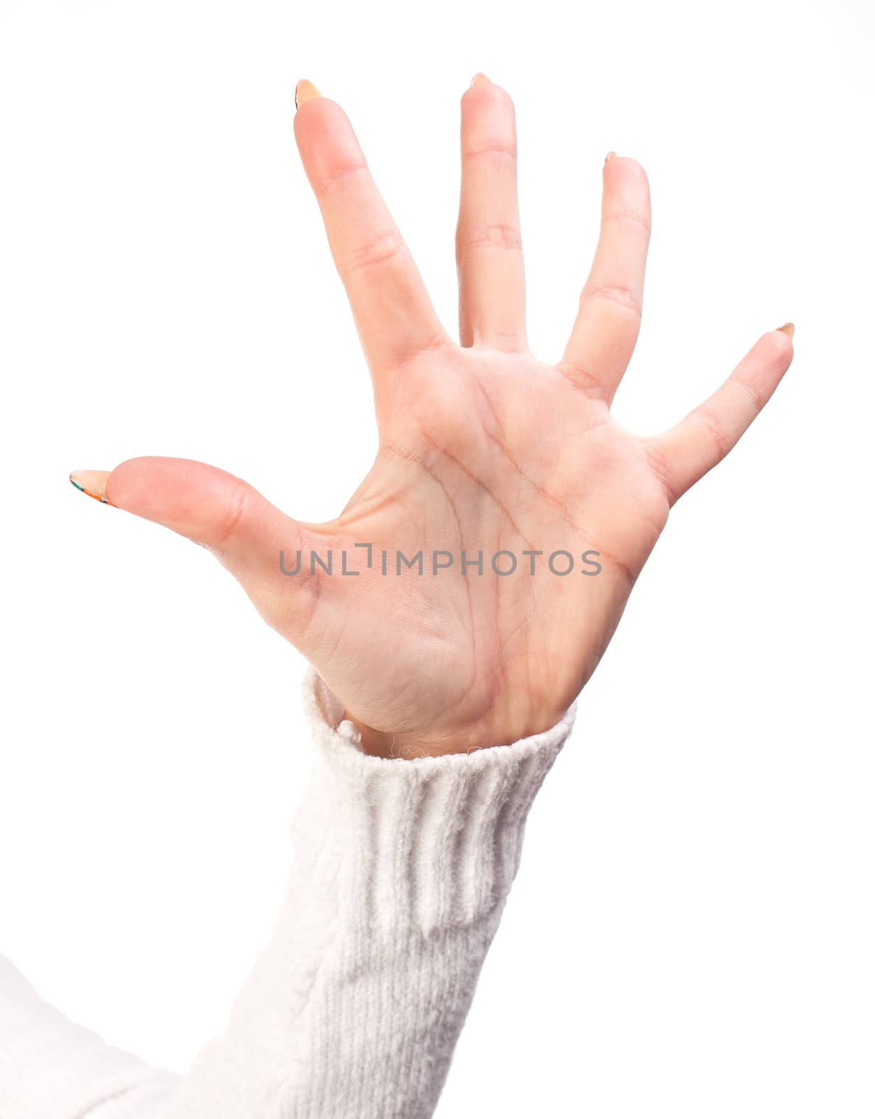 Open woman hand isolated on white background