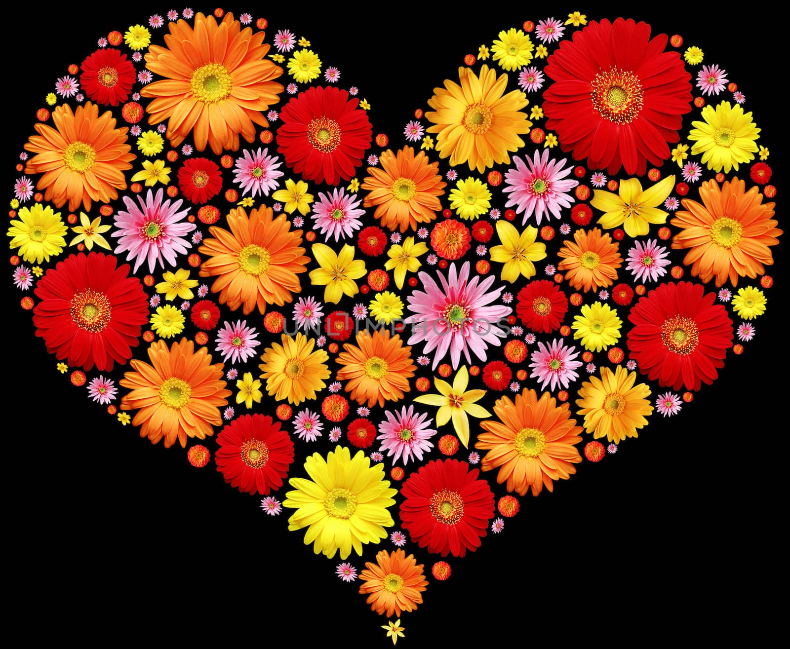 Flowers heart, isolated on black background