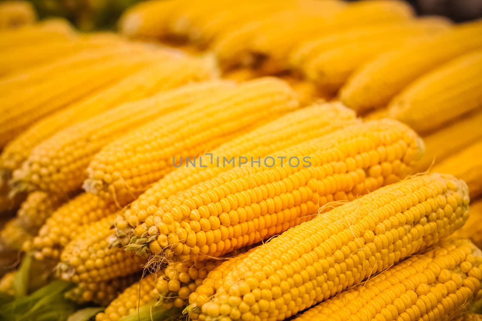 fresh yellow corn vegetable by ryhor