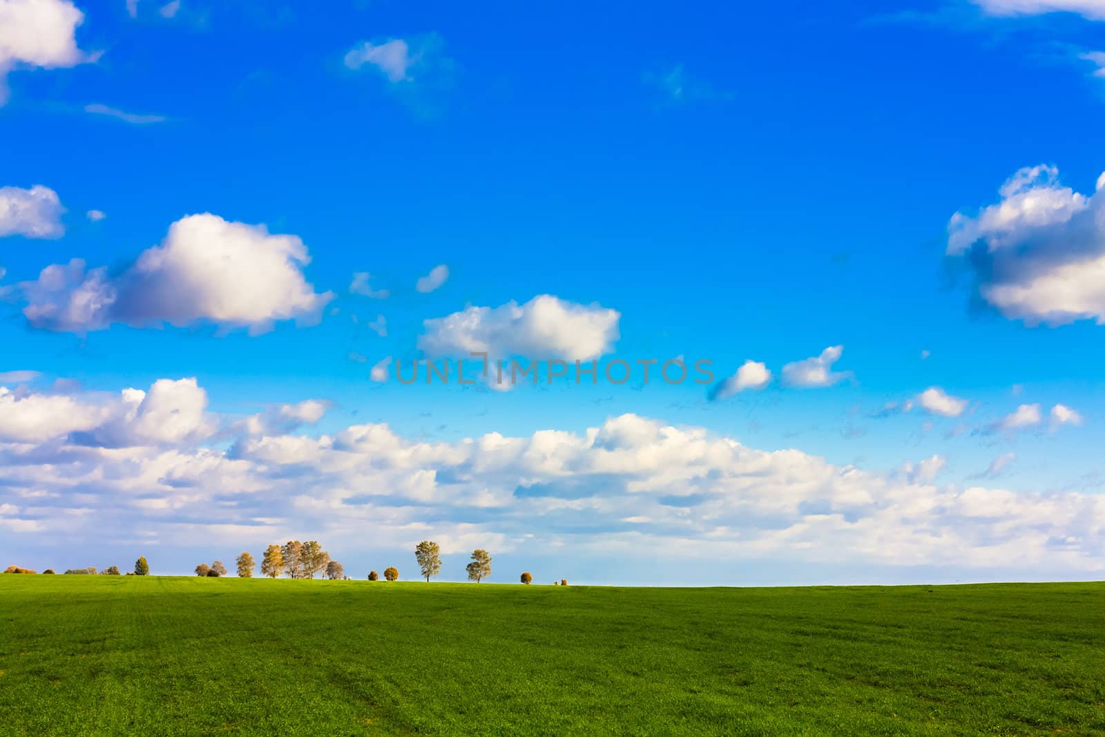 Green Field And Blue Sky