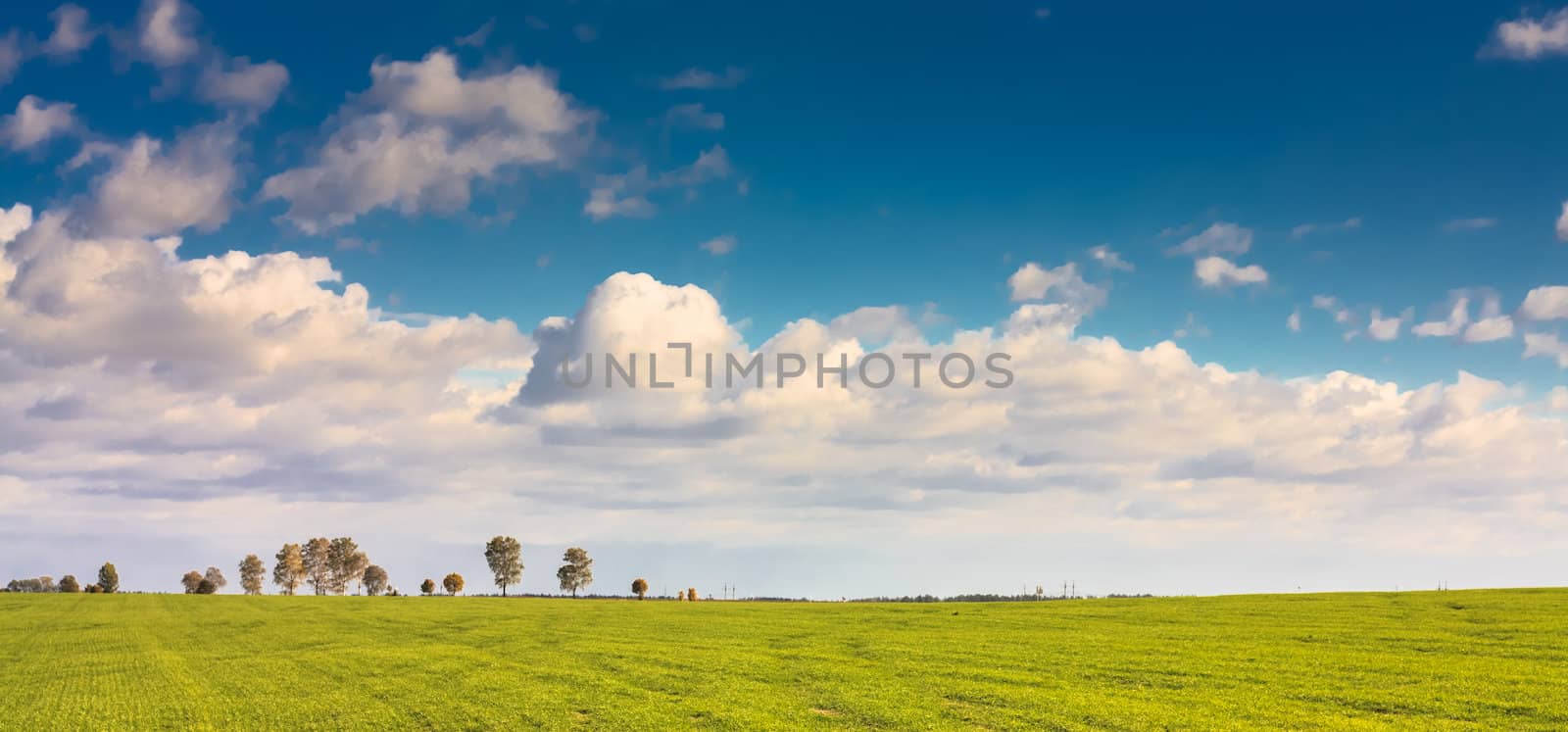 Green Field And Blue Sky