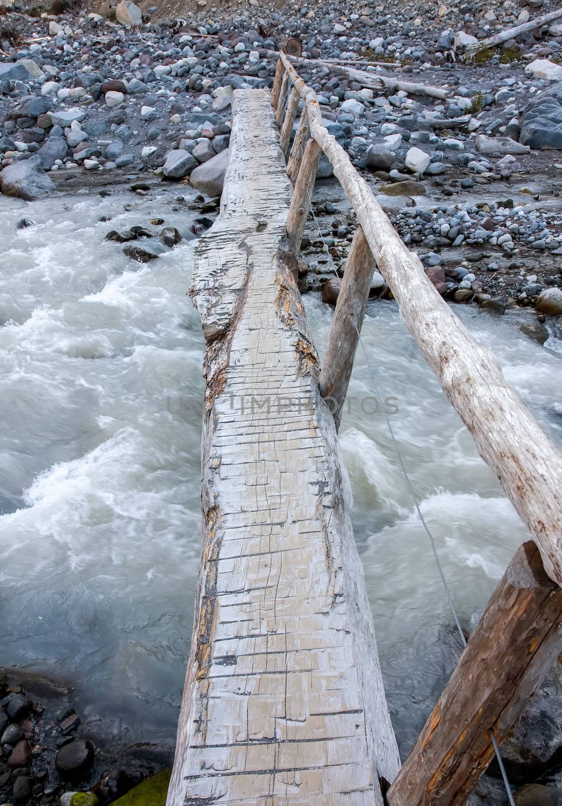 A narrow log is set up as a foot bridge over the rushing water of the Nisqually River at Mount Rainier National Park.