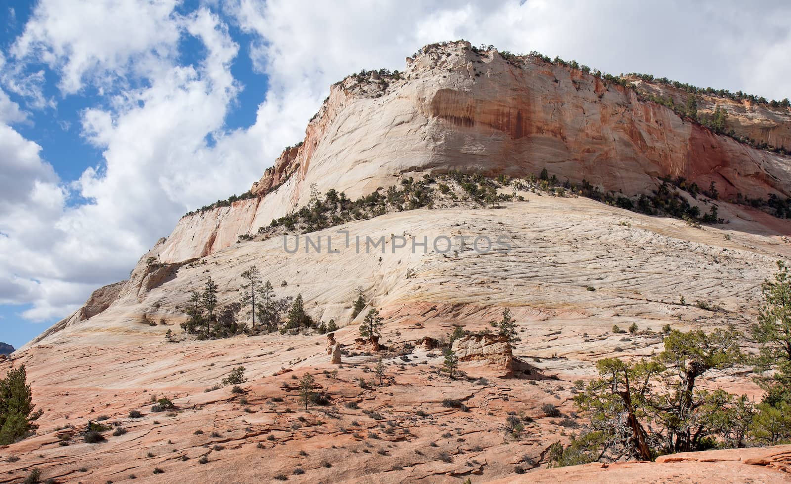 This was taken during the Fall in the upper plateau area of Zion National Park. It depicts the intricate patterns etched in the sandstone by wind and rain over eons of time.