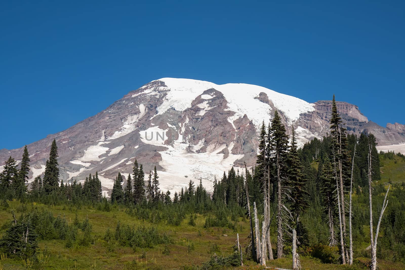 Mount Rainier looks very peaceful and scenic but It is considered to be one of the world's most dangerous volcanoes.