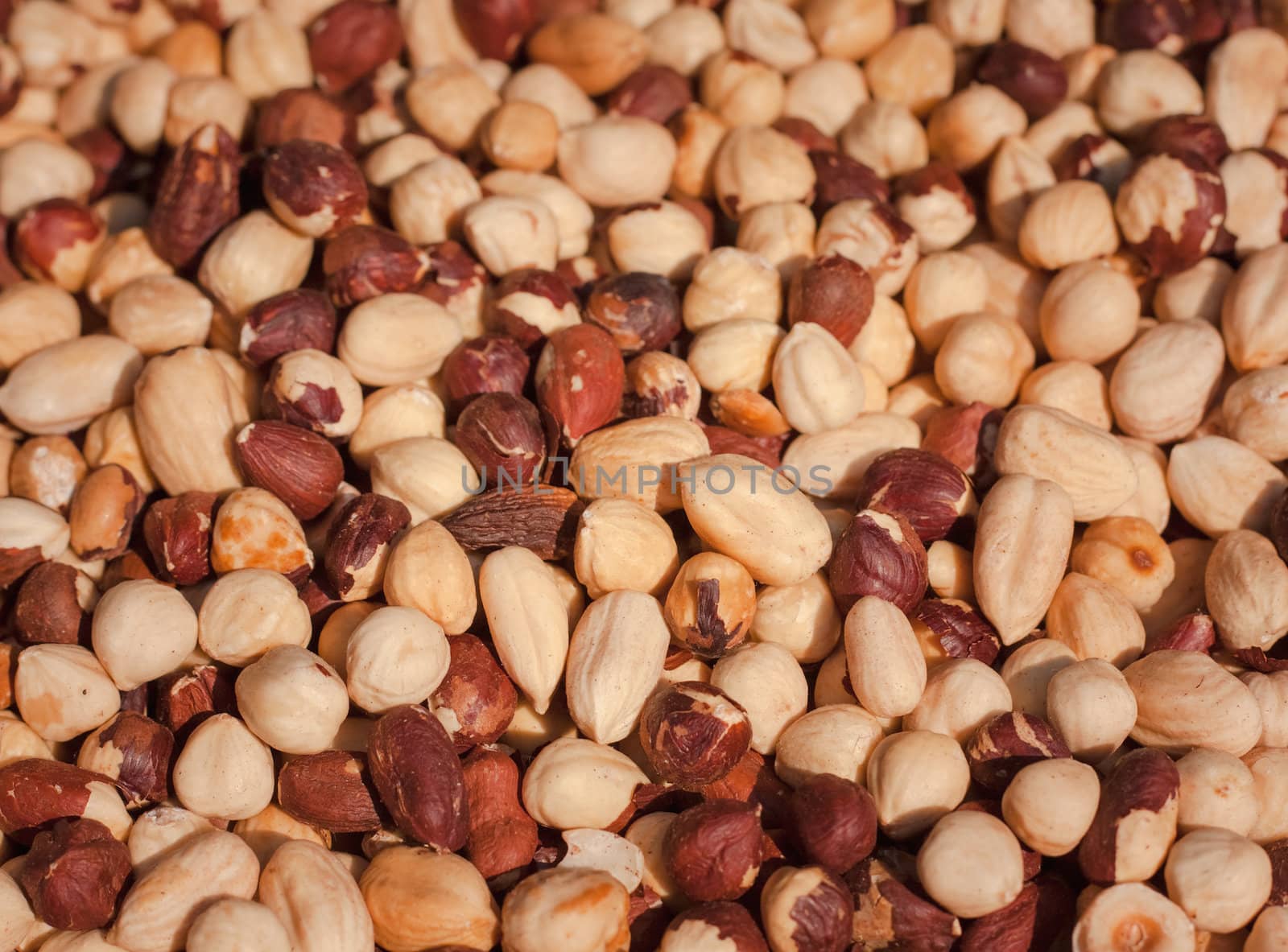 Closeup of peeled hazelnuts for background