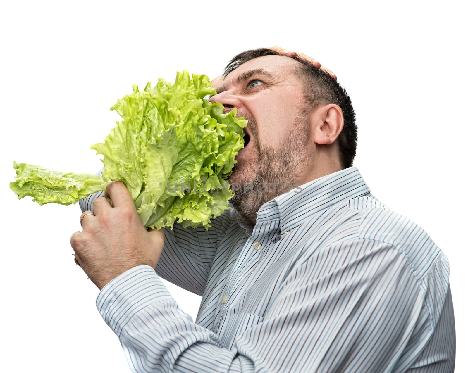 Man holding lettuce isolated on white by palinchak