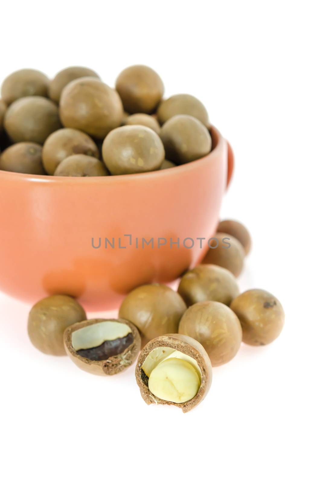 Shelled and unshelled macadamia nuts  in a cup