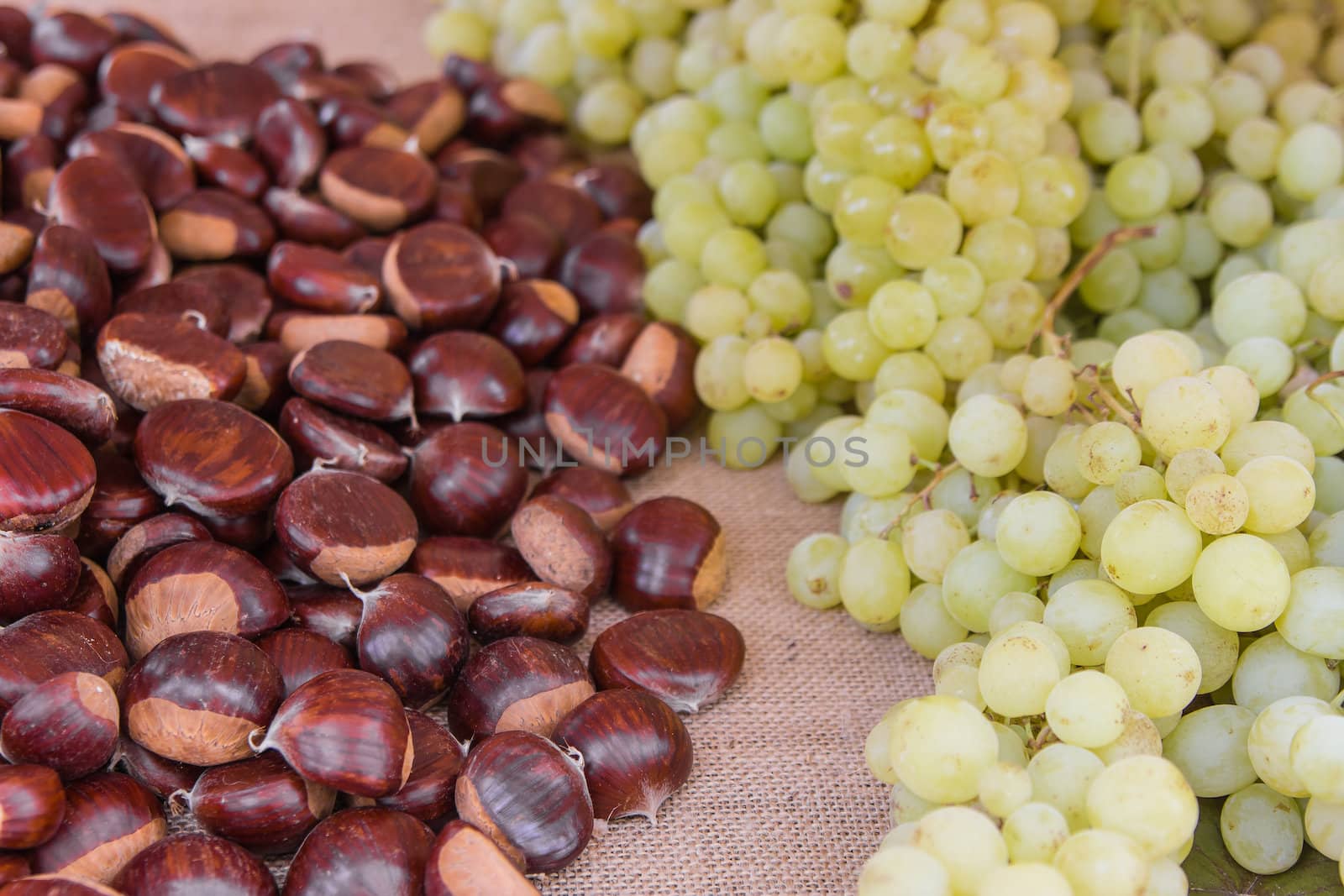 Autumn chestnuts and grapes by huntz