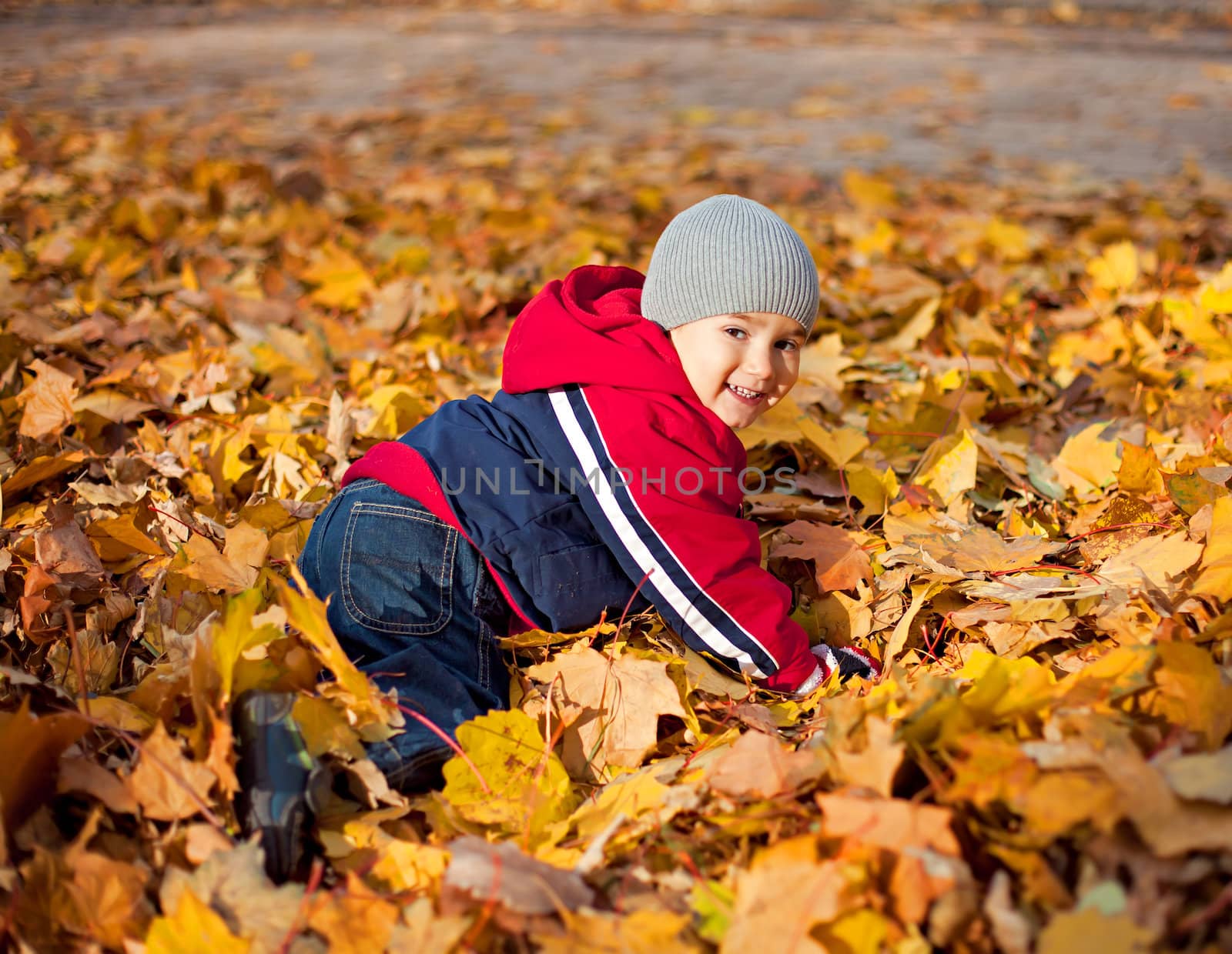 Boy played with autumn leaves by palinchak