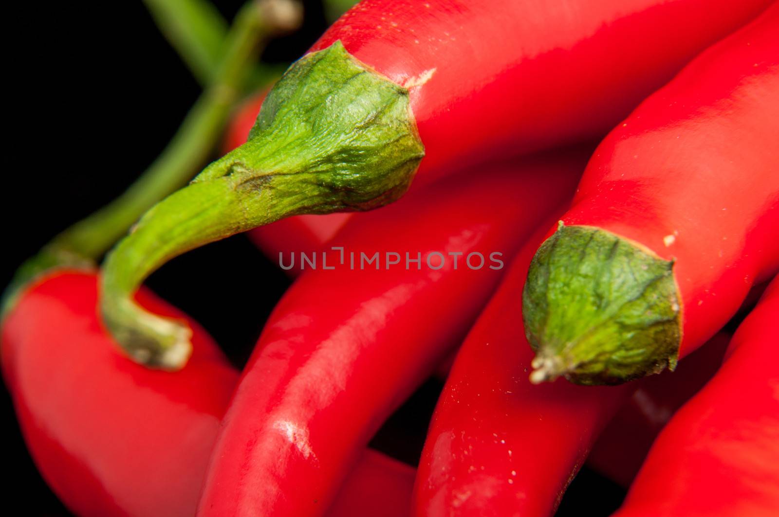 An image of red chilli pepper isolated