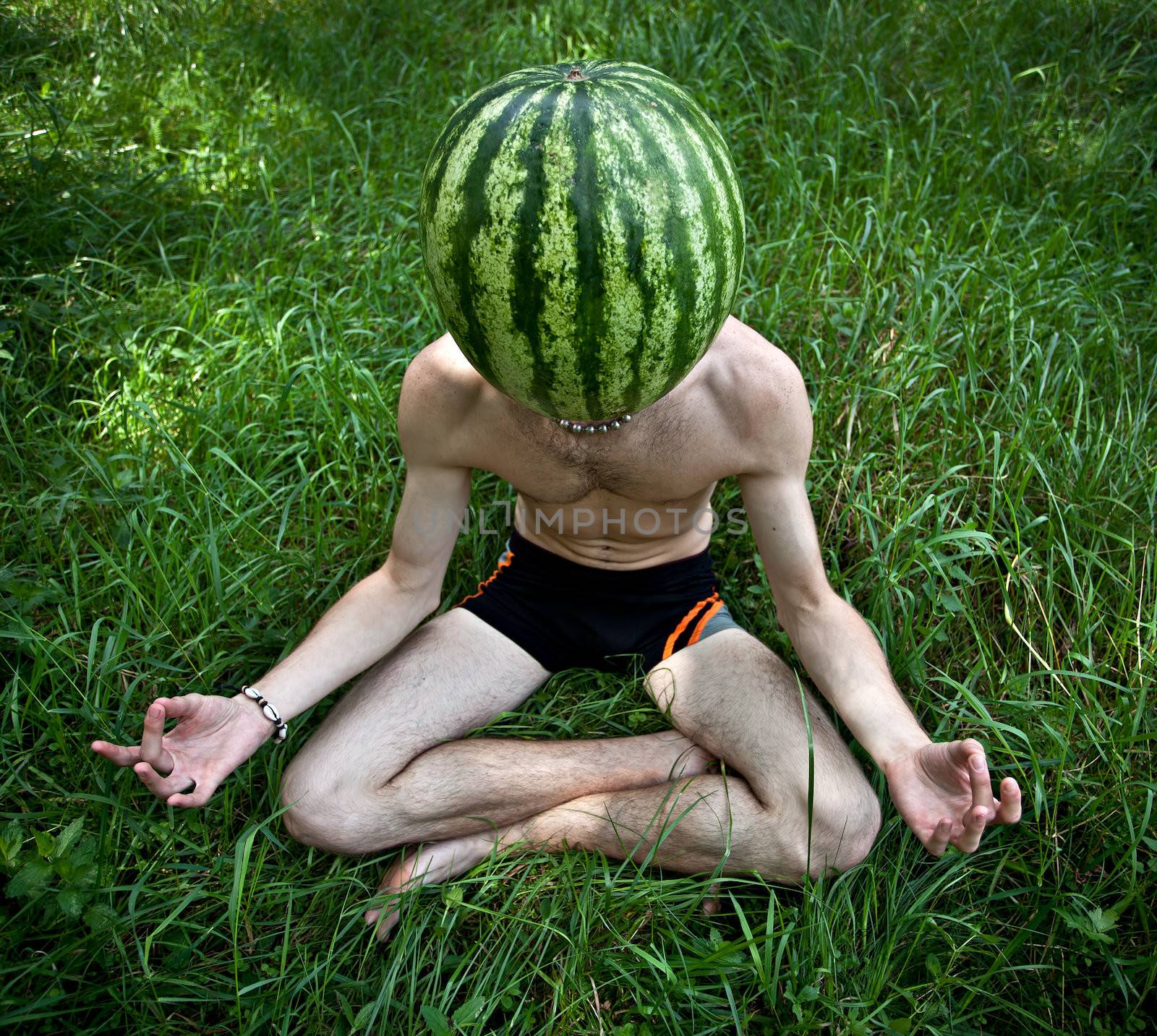 Humorous photo of watermelon meditation
